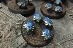 Scarabs